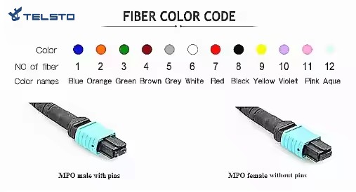 12 Core 24 Core MTP MPO LC SM MM Trunk Cable Fiber Optic Patch Cord