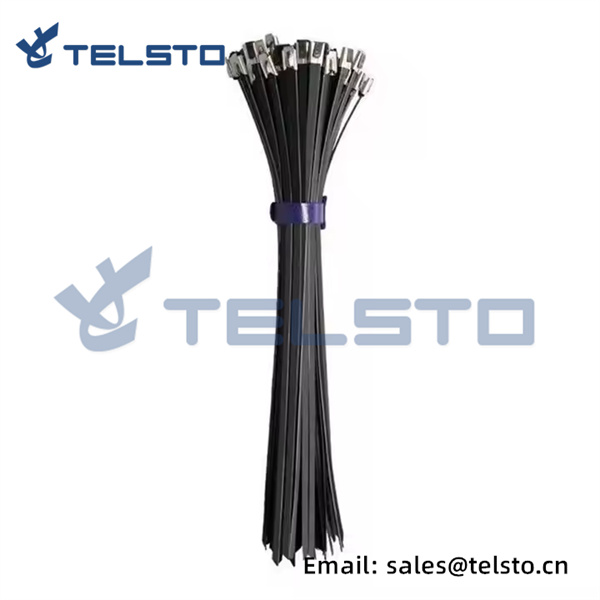 304 stainless steel cable tie thickness 1 (2)