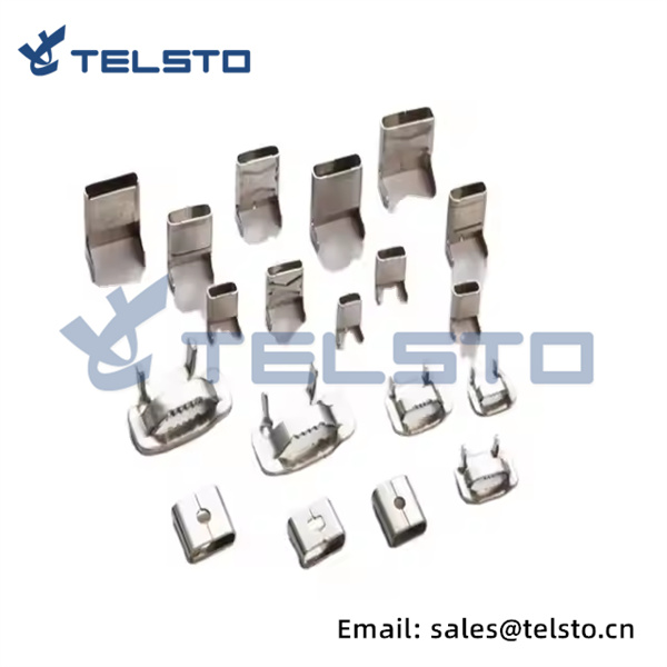 316 304 201 202 Stainless Steel Ear Lock Buckle for Banding (1