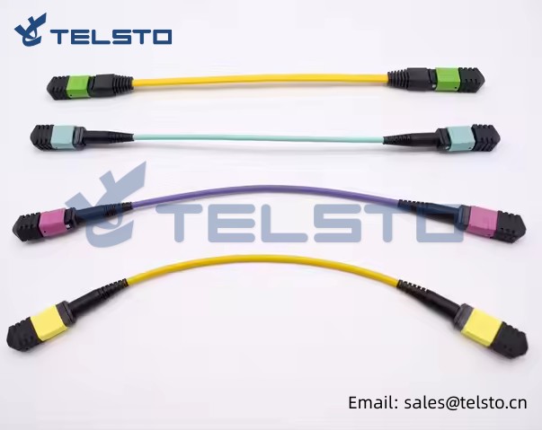 8core 12core 24core Data Center SM Trunk Cable MTP Connector MPO Fiber Optic Patch Cord