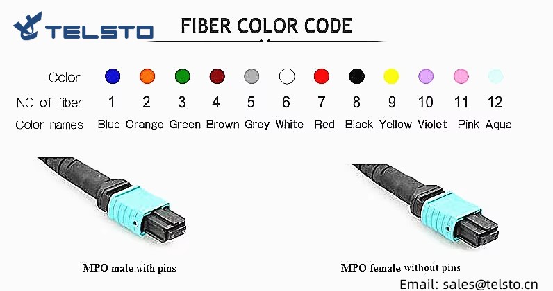 Low Loss high density 812162448C Senko US conec 50125 Singlemode MTP MPO trunk cable OM3 OM4 mpo patch lead