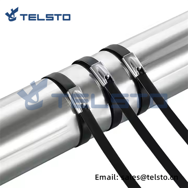 cheap Stainless Epoxy Coated Cable T (1)